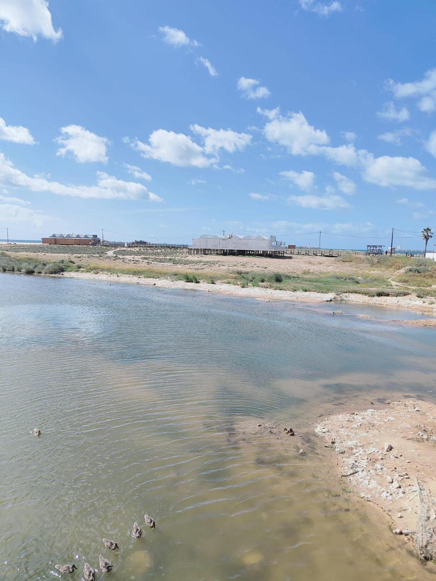 Bayline- Beachfront And Pool Armação de Pêra Dış mekan fotoğraf